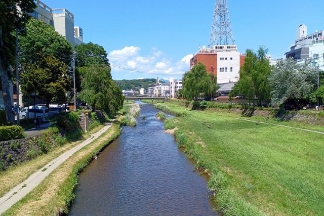 やってはいけない熱帯魚の遺体処理