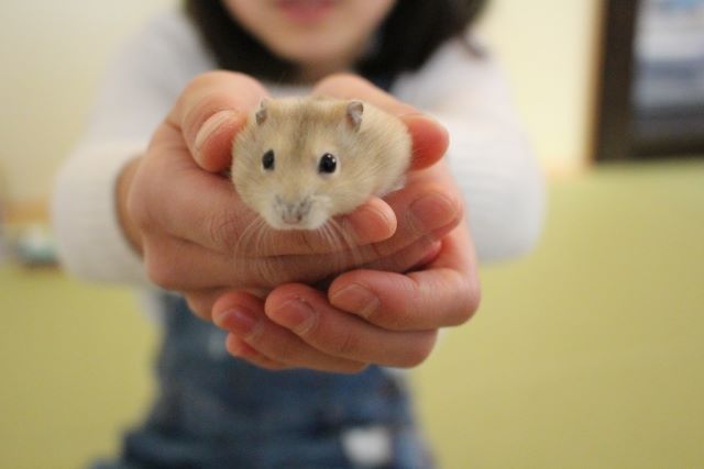 ペットちゃんの遺骨を残す意味