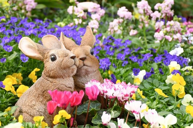 プランター葬におすすめの花は手入れがしやすい一年草