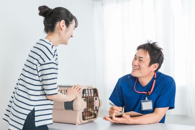 長生きのために早期発見！チンチラがかかりやすい病気と予防対策