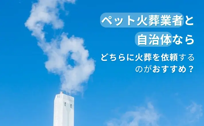 ペット 火葬 受け渡し 販売 かん