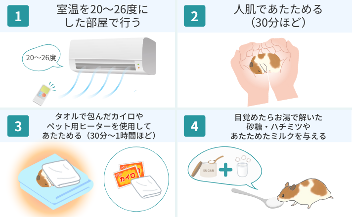 ハムスターの疑似冬眠からの起こし方