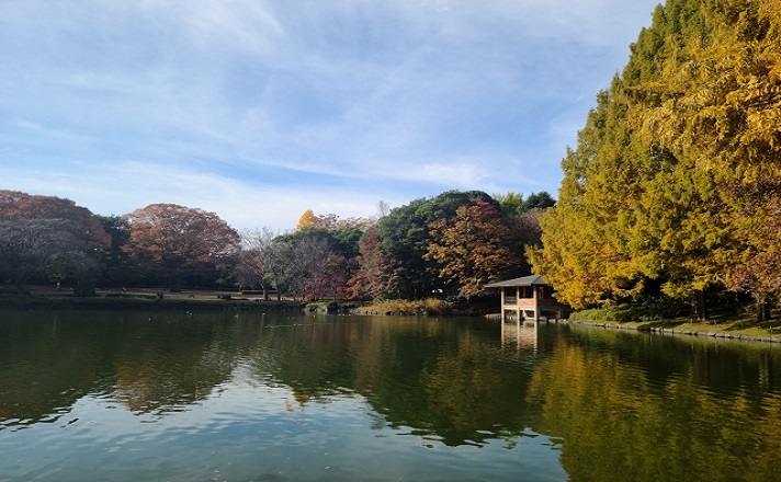 池がある公園